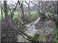 Flooded stream at Bilsford