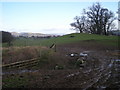 Grazing land opposite Llwynobin