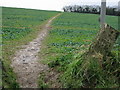 Footpath to Ringwould from the Ripple Road