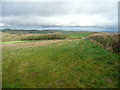 Woodland south of the Yeo