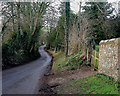 Barton Stacey -  Road To Bransbury