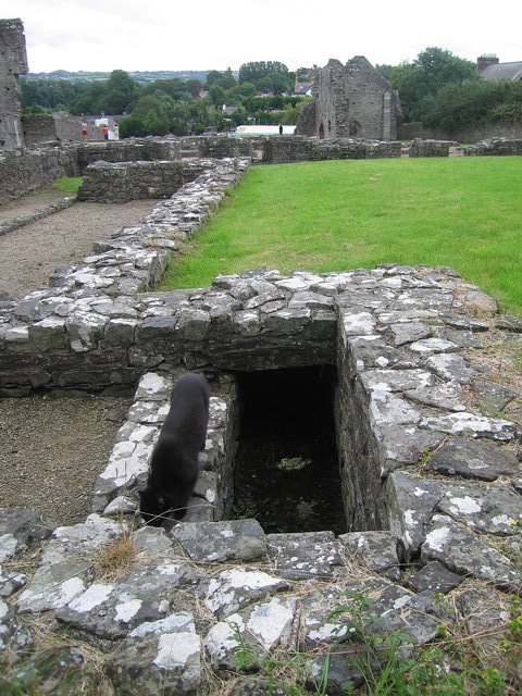 Water duct - St Dogmael's abbey