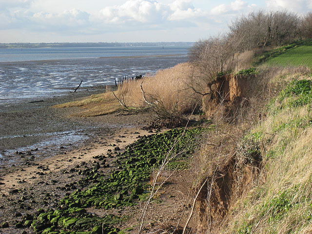 Shallow cliffs on north Stour shore