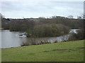 Bestwood Country Park- Mill Lakes