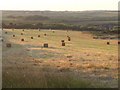 Summer evening, near Polgigga