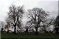 Two Ashes, Cator Lane Recreation Ground, Chilwell