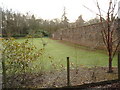 High garden wall at Dalswinton Plant Centre