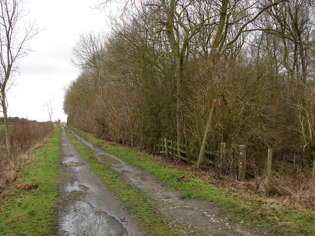 Farm Track Behind Lodge Farm