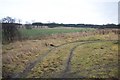 Grass Field From Caistor Road