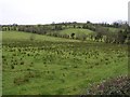 Aghahannagh Townland