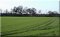 Fields west of  Shareshill, Staffordshire