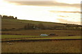 Fields near Raddery