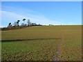 Farmland, Avon Dassett