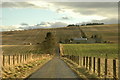 Farm road to Burnside Farm