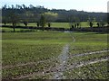 Farmland, Avon Dassett