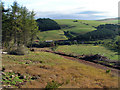 Windshiel Farm