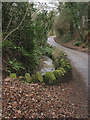 Bridge over Kempley Brook