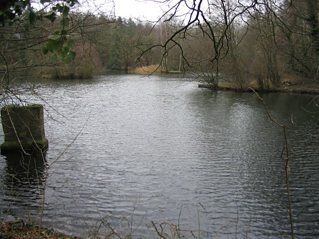 Lake by the Test Way