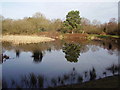 Lower Pond in Yateley Country Park