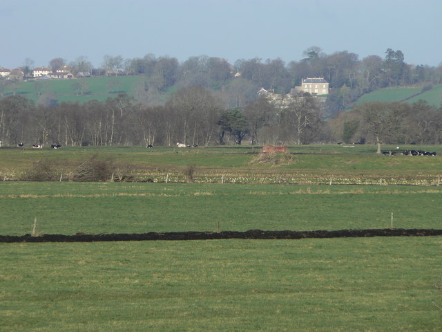 Fields at Westhay