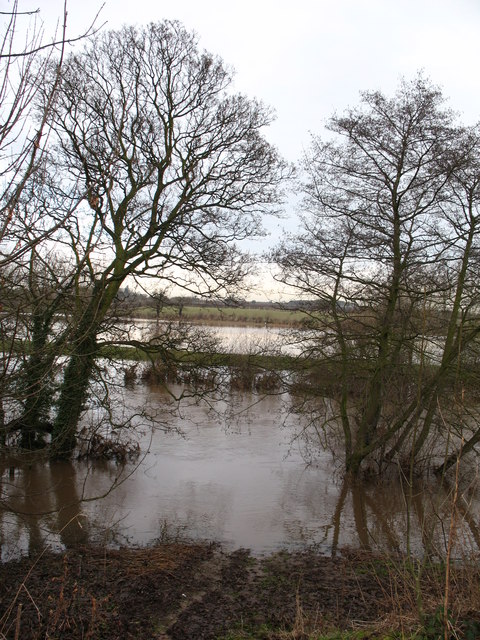 The Nidd in flood