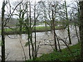 River Taw meanders in flood; 1