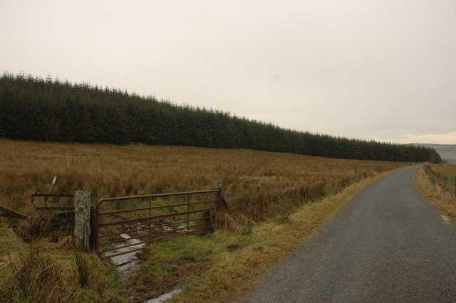 Field and forestry by Hill of Shenwall