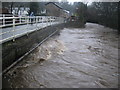 The River Irwell at Irwell Vale