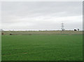 TL1580 : Arable fields near Upton by David Kemp