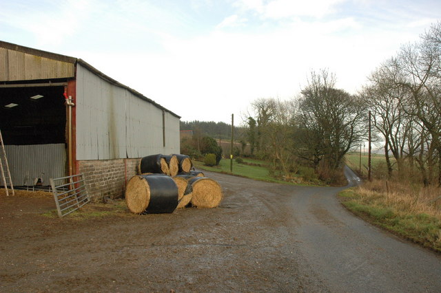 Country road and Mains of Bogfouton