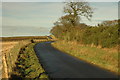 Country road near Baikiehill