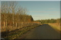 Country road north of Cross of Jackston