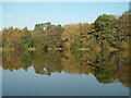 Autumn colours at Apley Pool