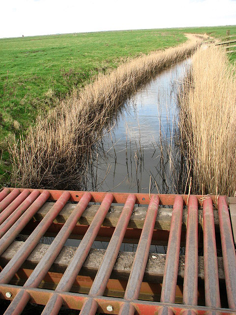 Cattle grid crossing a drainage ditch