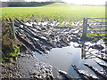 Field gateway near key Bridge, Yeovil