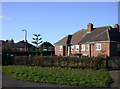 House with monkey-puzzle tree, Oakington Road