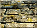 Lych gate roof, Kingston Lisle cemetery