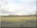 View across farmland in the direction of Bodvel Hall Farm