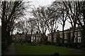 Cassland Crescent, South Hackney