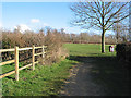 Footpath to Lassington Wood Nature Reserve