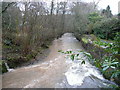 River Duntz - downstream