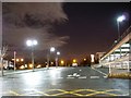 Huge falcon attacks Shopping Centre?