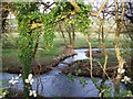 River Ebble, Bishopstone