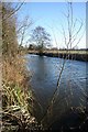 TL7772 : River Lark near Icklingham by Bob Jones