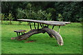 Bwrdd Picnic Plas Glyn y Weddw Picnic Table