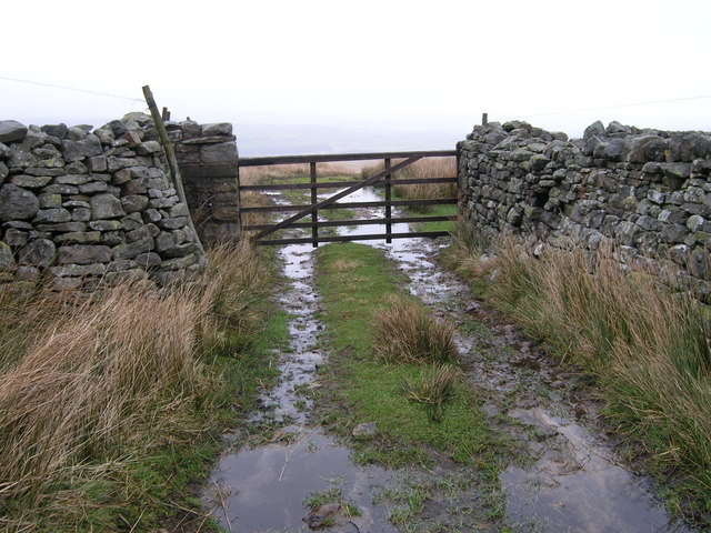 Gate on track between Flout Moor and Black Pasture