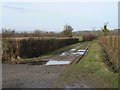 Green lane at Barton Lower Farm