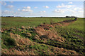 Farmland from Blackcliffe Hill