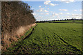 Farmland near Plumtree