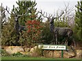 Deer at Manor Park Farms